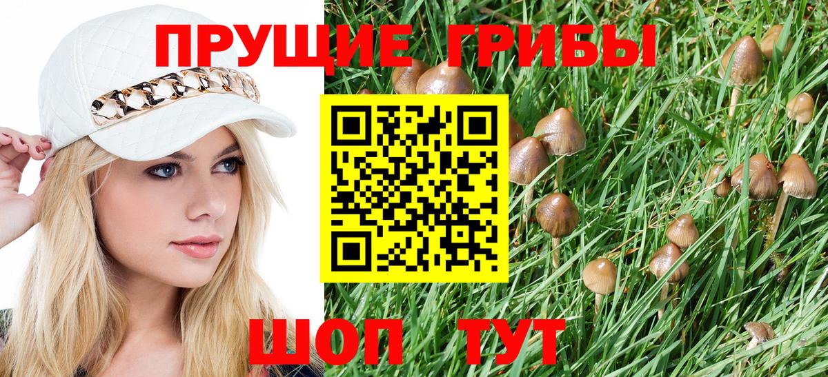 Галлюциногенные грибы Magic Shrooms  Псилоцибиновые грибы GOLDEN TEACHER  Мелеуз  Вход с VPN 