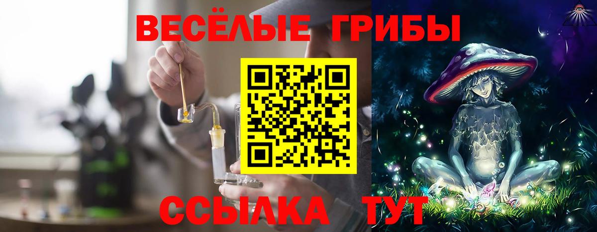 Галлюциногенные грибы GOLDEN TEACHER Мелеуз